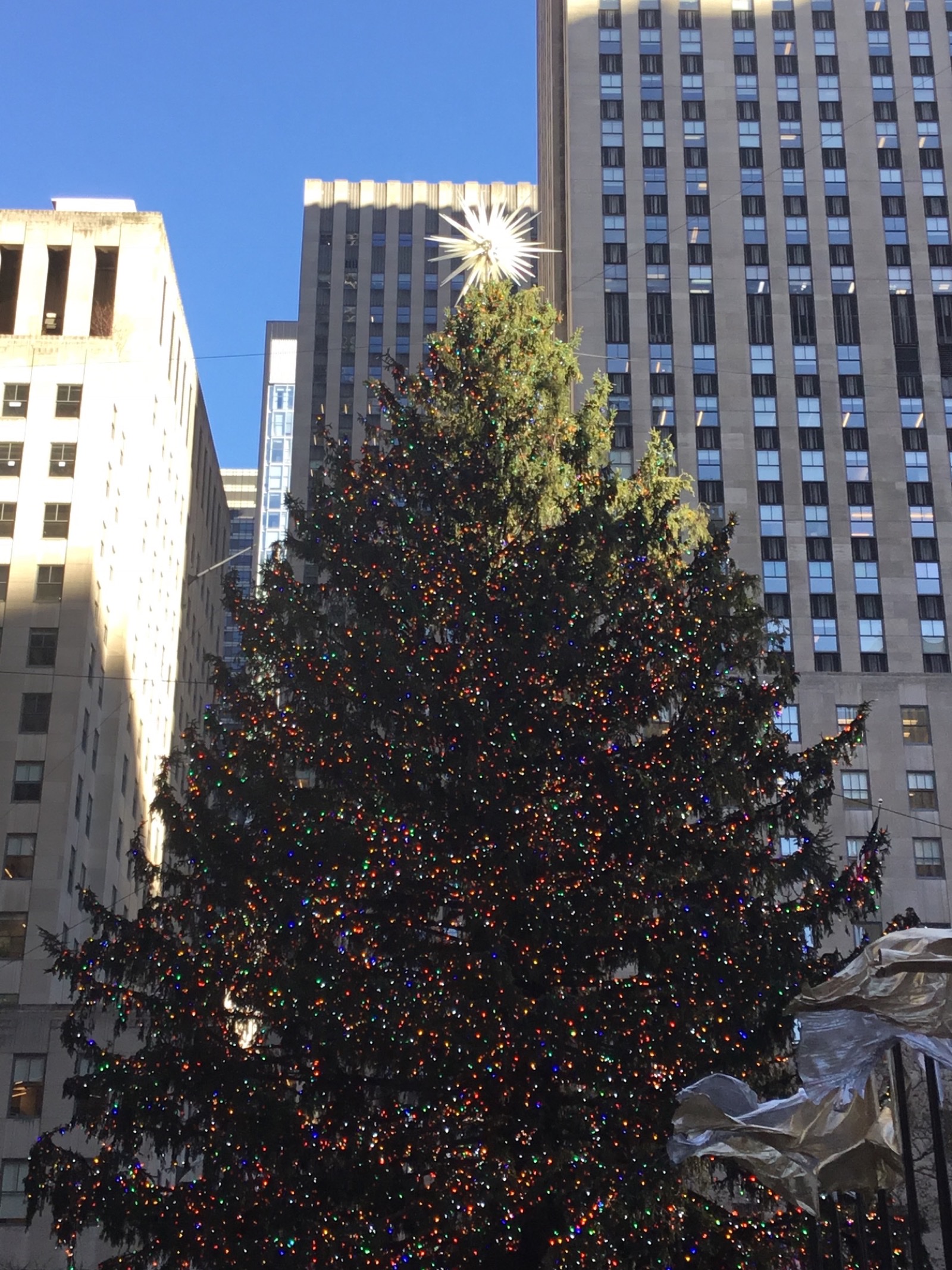 ニューヨーク、ロックフェラーセンターのクリスマスツリー