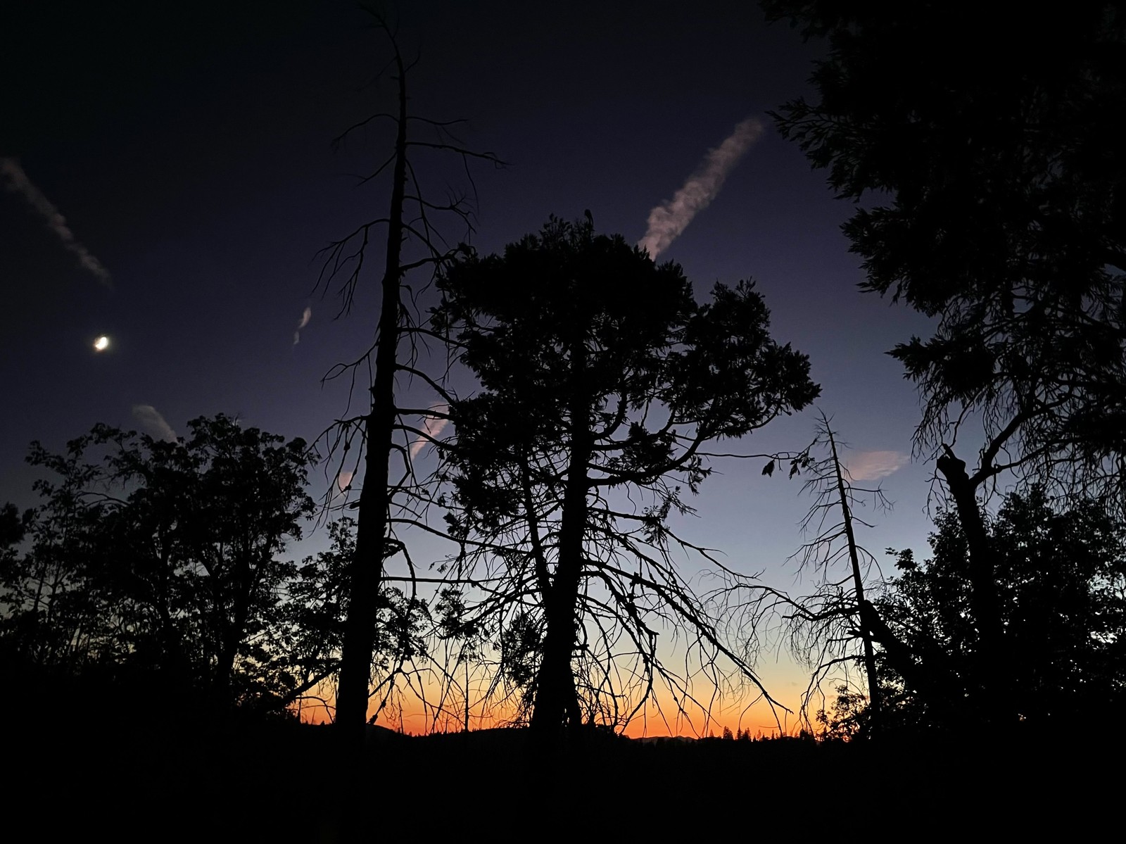 Evergreen Lodge周辺の夕暮れと月